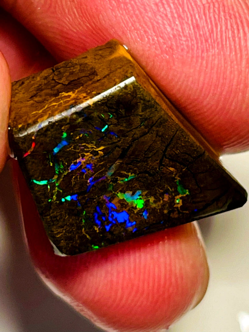 Queensland Boulder opal 30cts Winton rub/rough Vivid Vibrant Multifires on Exposed face 18x15x8mm BFC72