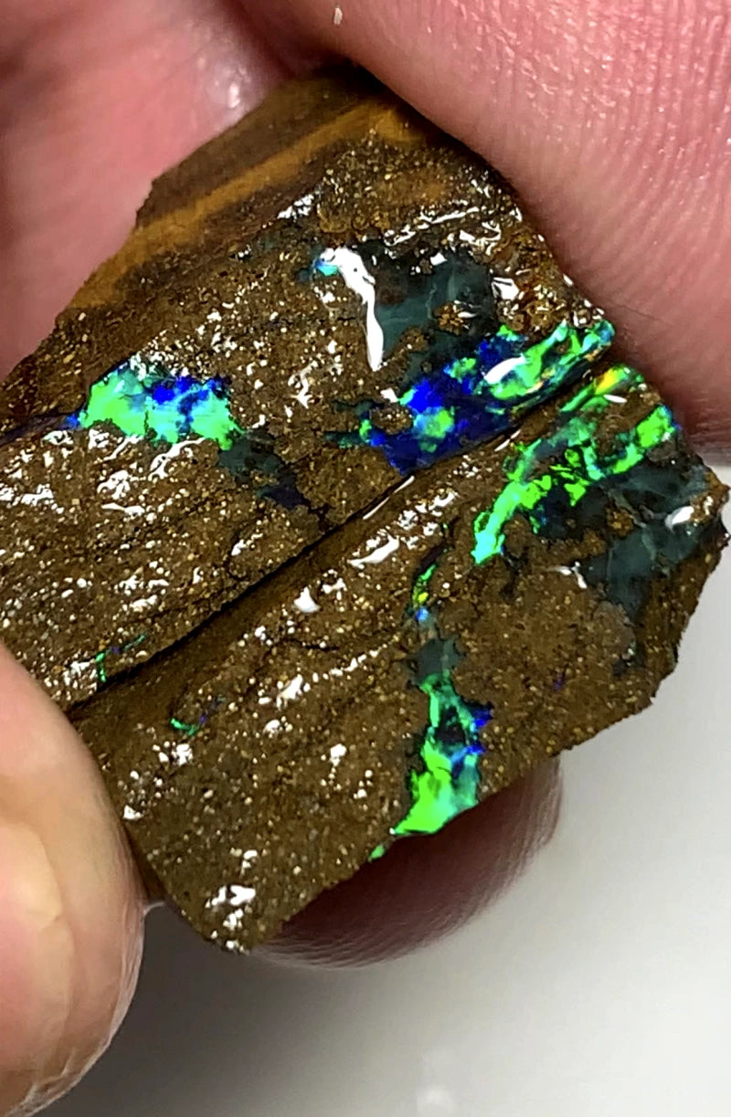 Queensland Boulder opal pair 24cts Winton Bright Vibrant Exotic Multifires showing 19x12x5mm & 18x8x5mm BFC63