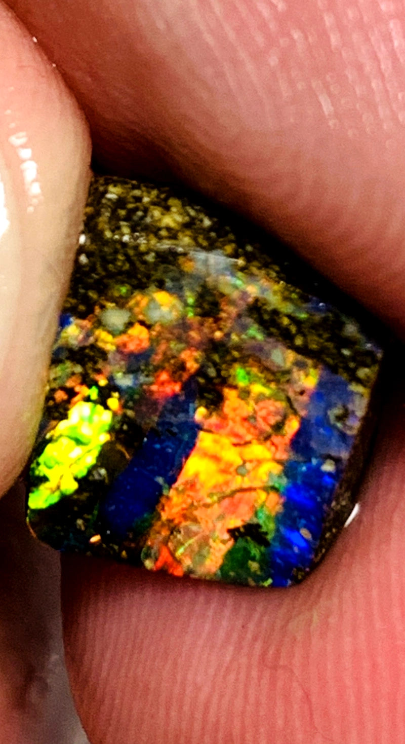 Queensland Boulder opal 5.4cts Winton Gem rub/preform Amazing Vibrant & Bright Reds & Multifires on Exposed face 12x10x5mm BFC38