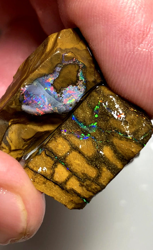 Queensland Boulder opal rough pair 60cts Winton Bright Multifires showing 25x18x11mm & 20x12x6mm BFC66