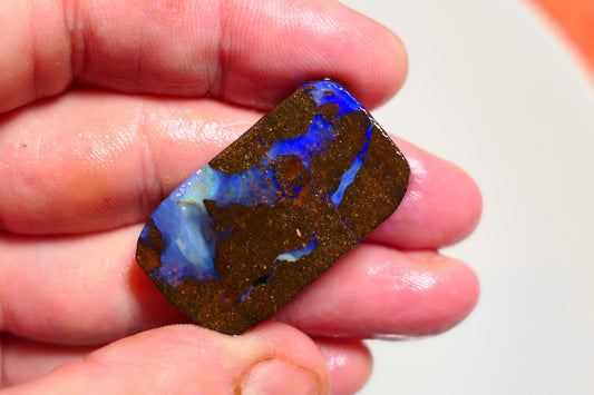 Queensland Boulder Matrix opal 62cts rough / slice Koroit Nice fires 35x18x6mm BD#10