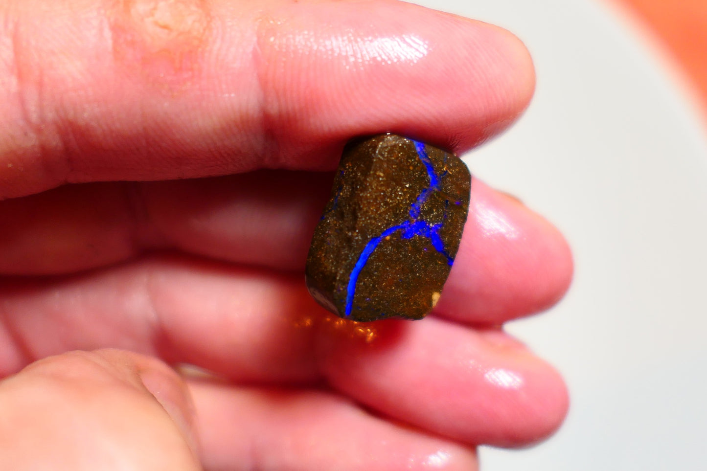 Queensland Boulder Matrix opal 16cts rub / rough / preform Koroit Blue veins of fires 16x12x5mm BR#11