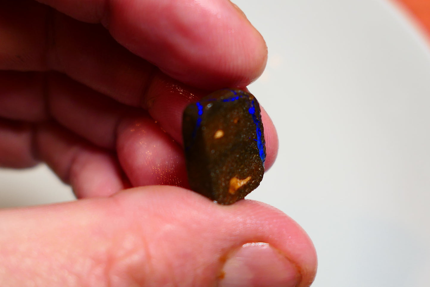 Queensland Boulder Matrix opal 15cts rub / rough / preform Koroit Blue veins of fires 16x12x5mm BR#09
