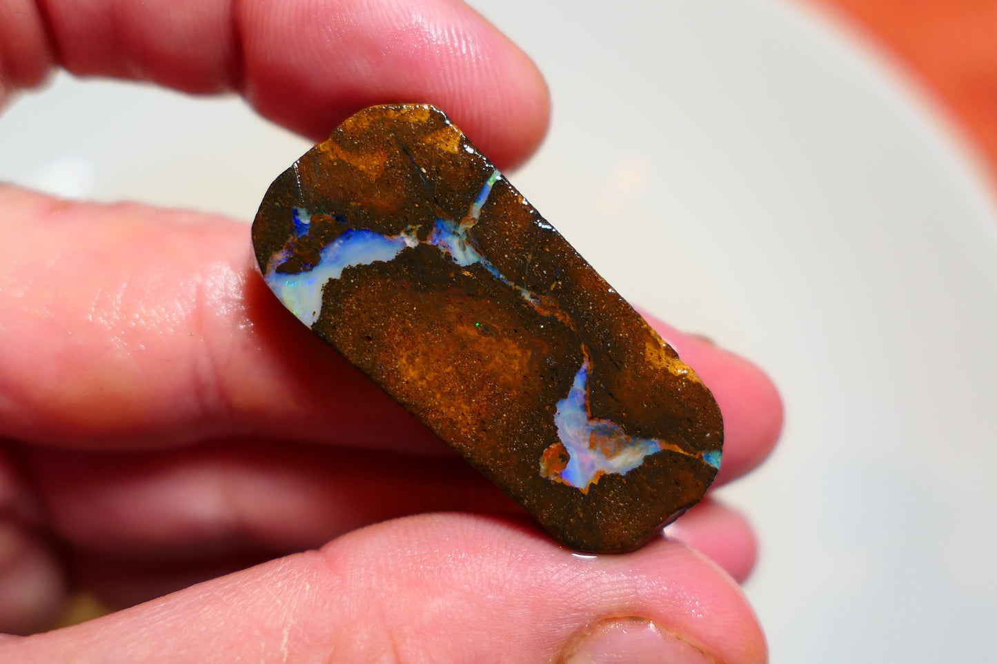 Queensland Boulder Matrix opal 61cts rough / slice Koroit bits fires 40x15x6mm BD#04