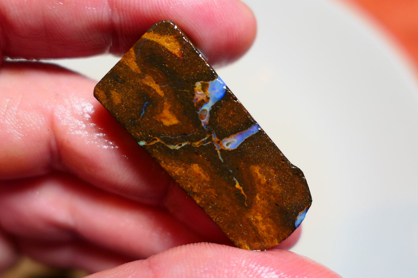 Queensland Boulder Matrix opal 61cts rough / slice Koroit bits fires 40x15x6mm BD#04