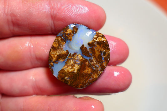 Queensland Boulder Matrix opal 45cts rough / slice Koroit bits fires 30x30x6mm BD#05