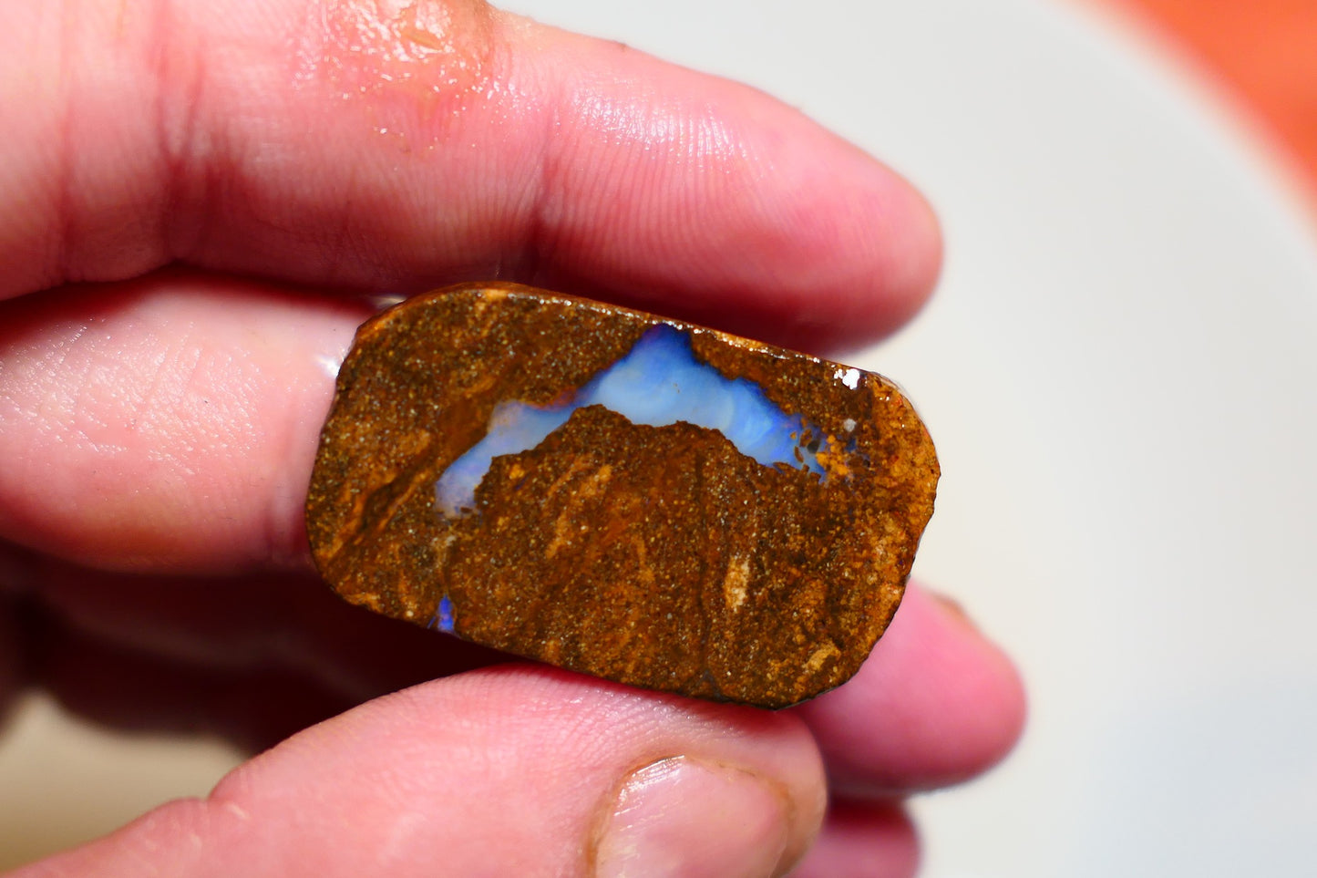 Queensland Boulder Matrix opal 51cts rough / slice Koroit bits fires 30x16x6mm BD#02