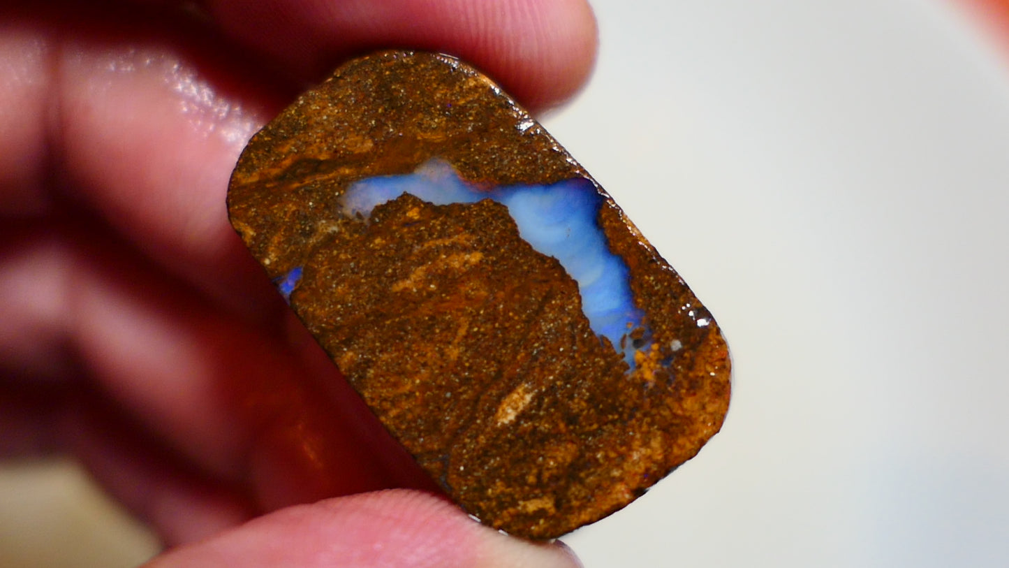 Queensland Boulder Matrix opal 51cts rough / slice Koroit bits fires 30x16x6mm BD#02