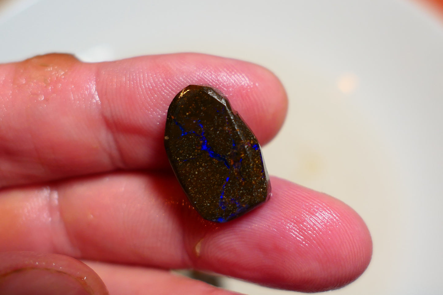 Queensland Boulder Matrix opal 13cts rub / rough / preform Koroit Blue veins of fires 17x10x4mm BR#01