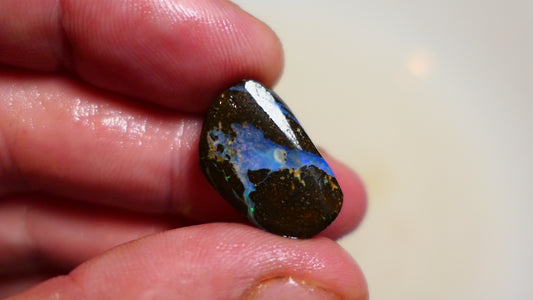 Queensland Boulder opal 19cts rub / rough / preform Koroit Blue fires 17x10x4mm BR#02