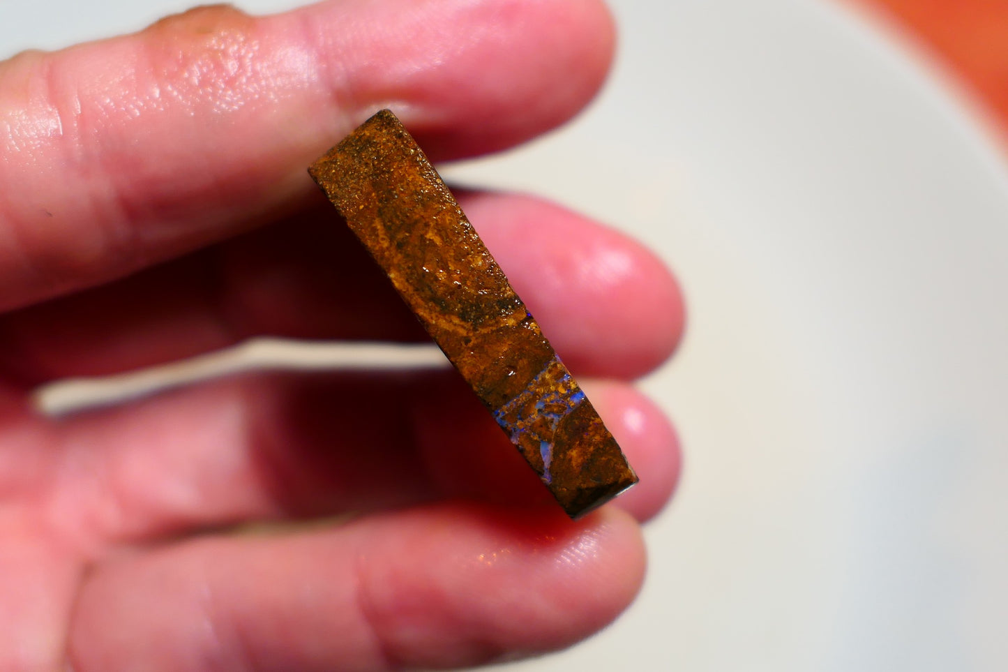 Queensland Boulder Matrix opal 56cts rough / slice Koroit bits fires 30x16x6mm BD#03