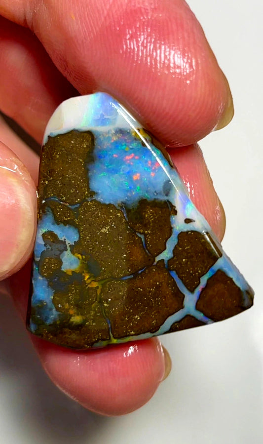 Queensland Boulder opal 36cts Winton rub/rough /preform Pictures with stunning Multifires on Exposed face 31x30x4mm BFC73
