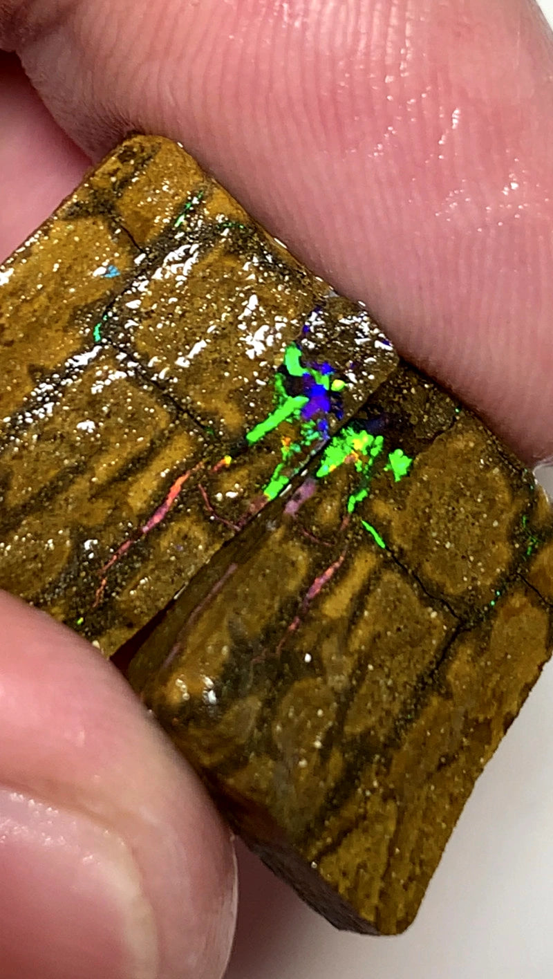 Queensland Boulder opal rough pair 37cts Winton Bright Vibrant Multifires showing 18x15x14mm & 18x14x5mm BFC65