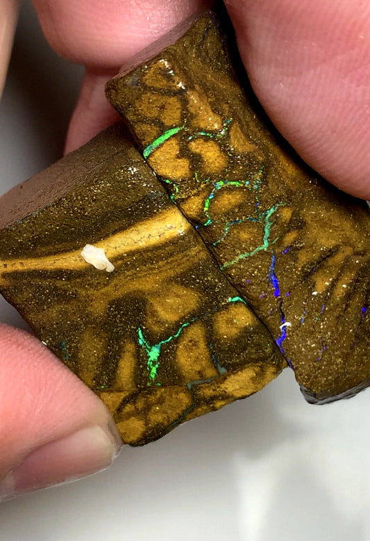 Queensland Boulder opal rough pair 105cts Winton Bright Multifires showing 37x12x8mm & 27x17x9mm BFC67