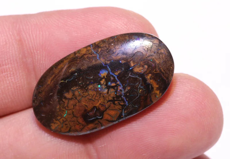 Australian Queensland  Boulder Matrix opal Polished Gemstone 22cts From Koroit 28x15x4.5mm BFC28