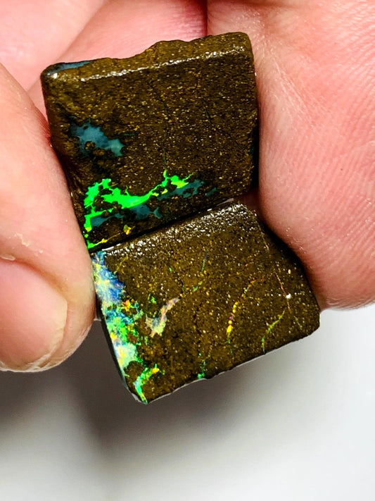 Queensland Boulder opal rough pair 16.5cts Winton Bright Vibrant Multifires showing 16x14x2.5mm & 16x12x3mm BFC64