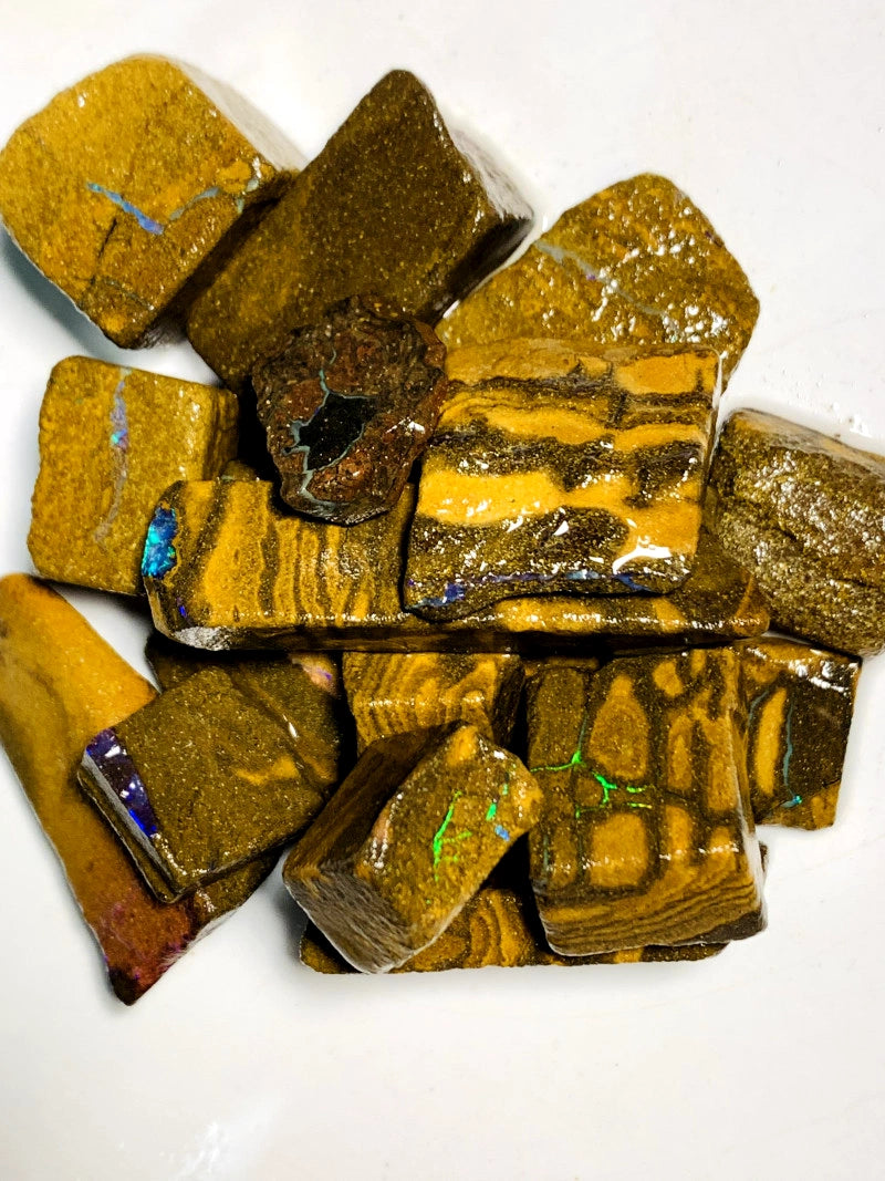 Queensland Boulder opal rough Parcel 460cts Winton Lots fires showing Lots potential 35x12x7mm to 14x12x6mm BFC69
