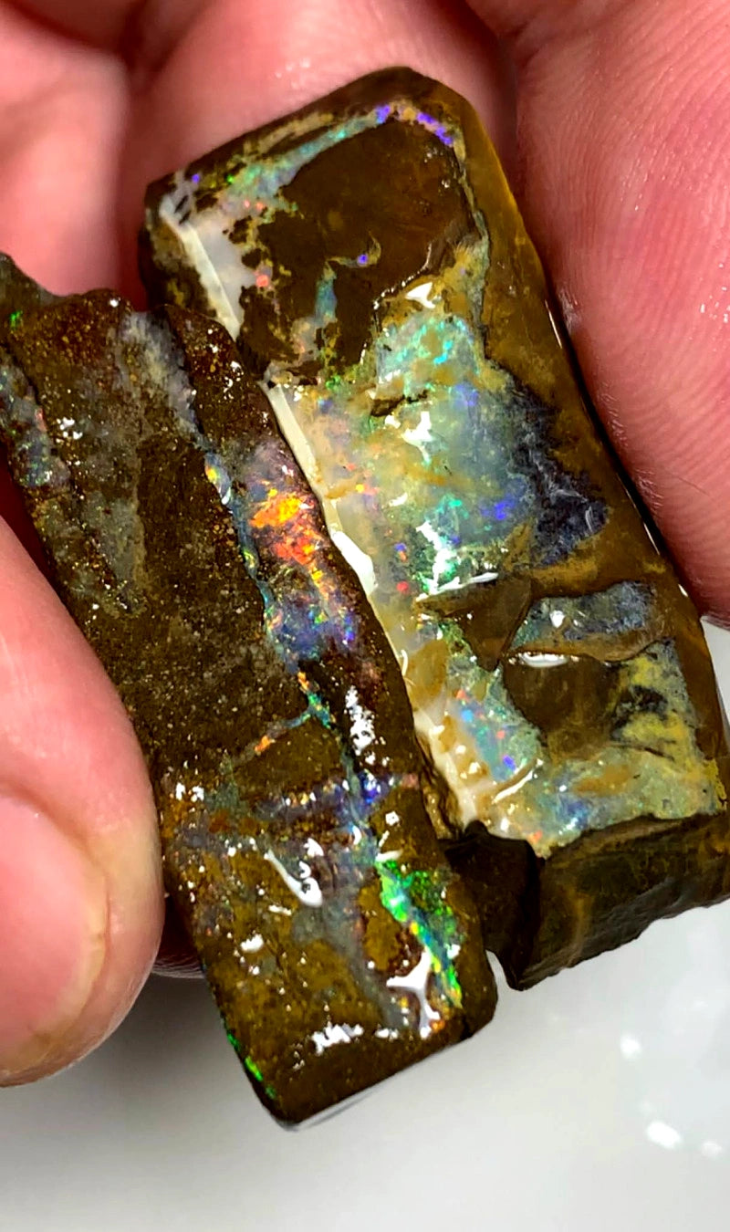 Queensland Boulder opal pair 68cts Winton nice Multifires showing 39x16x6mm & 41x12x8mm BFC55