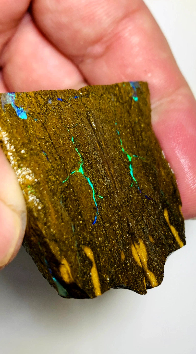 Queensland Boulder opal rough Split pair 200cts Winton Bright Vibrant Green fires showing 40x22x14mm BFC68