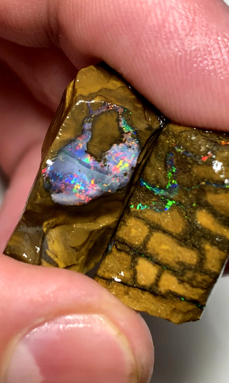 Queensland Boulder opal rough pair 60cts Winton Bright Multifires showing 25x18x11mm & 20x12x6mm BFC66