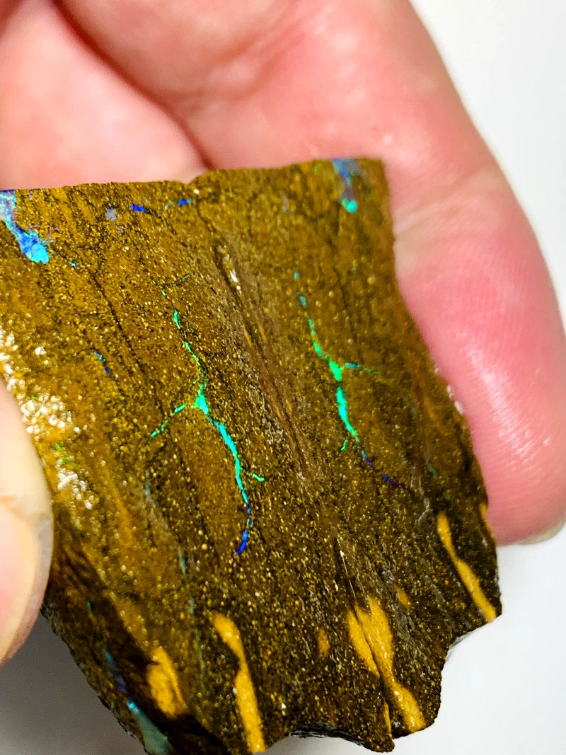 Queensland Boulder opal rough Split pair 200cts Winton Bright Vibrant Green fires showing 40x22x14mm BFC68