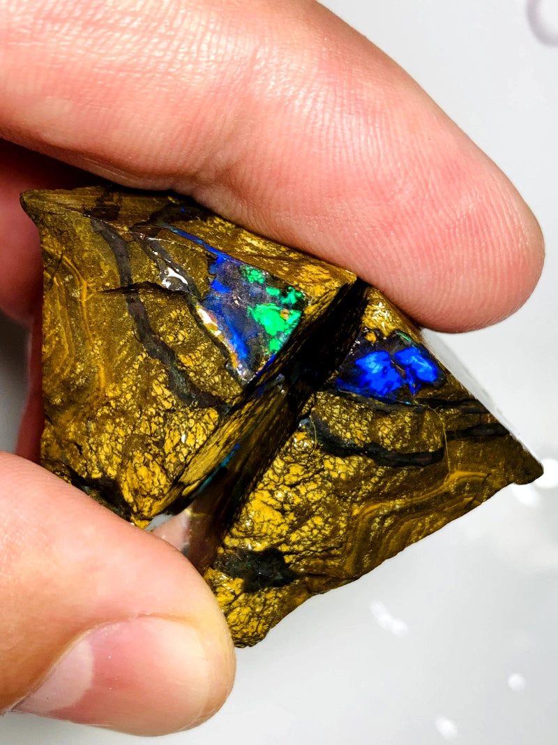 Queensland Boulder opal pair 150cts Winton Bright Fires showing 30x22x18mm & 32x20x16mm BFC59