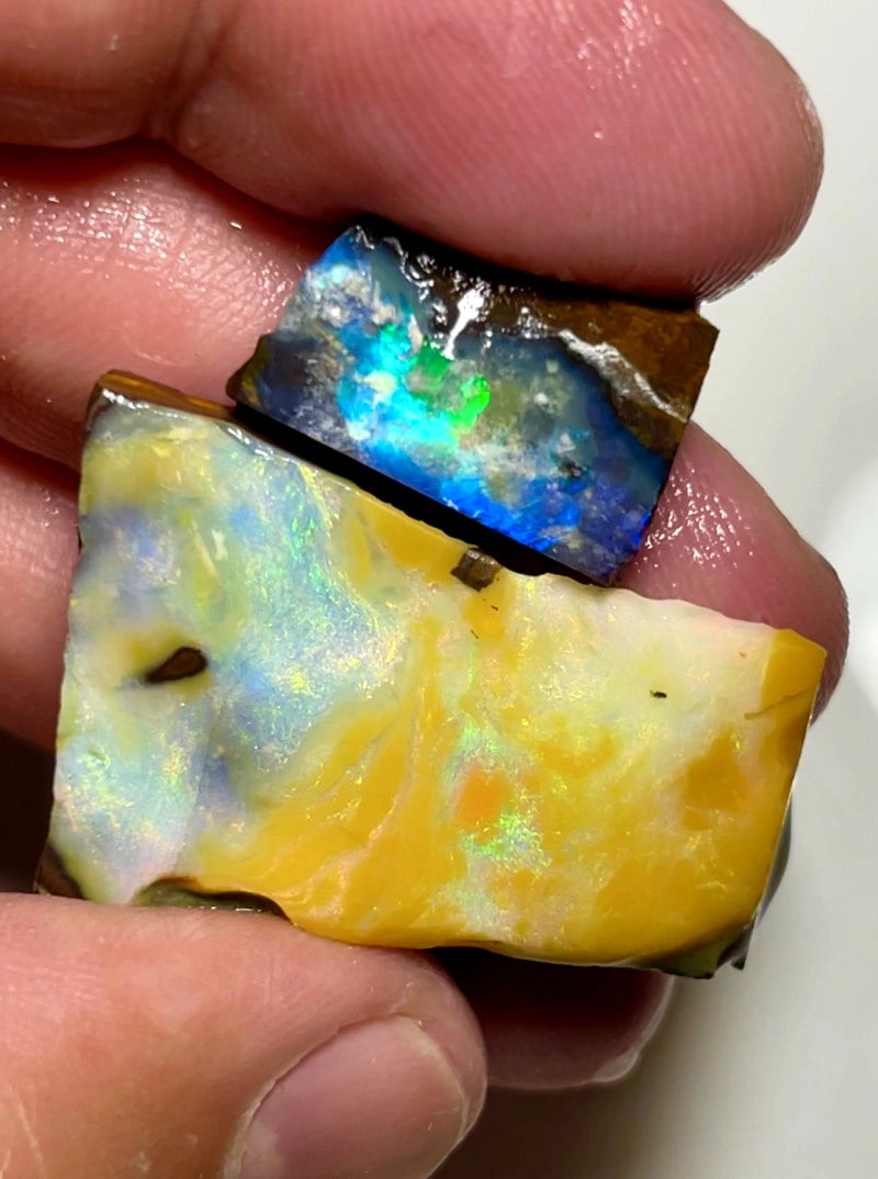 Queensland Boulder opal 80cts Winton rub / rough Stunning Exposed Bright Multifires 35x18x10mm & 18x10x6mm BFC71