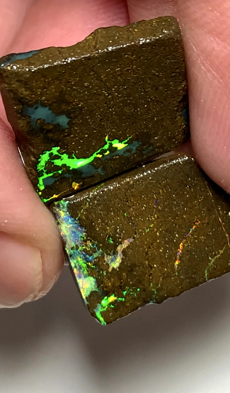 Queensland Boulder opal rough pair 16.5cts Winton Bright Vibrant Multifires showing 16x14x2.5mm & 16x12x3mm BFC64
