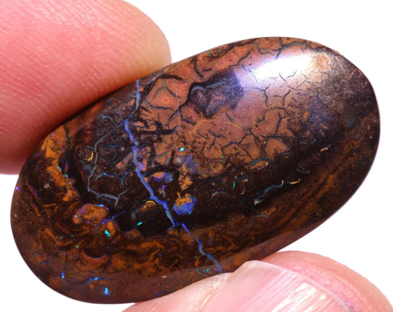 Australian Queensland  Boulder Matrix opal Polished Gemstone 22cts From Koroit 28x15x4.5mm BFC28