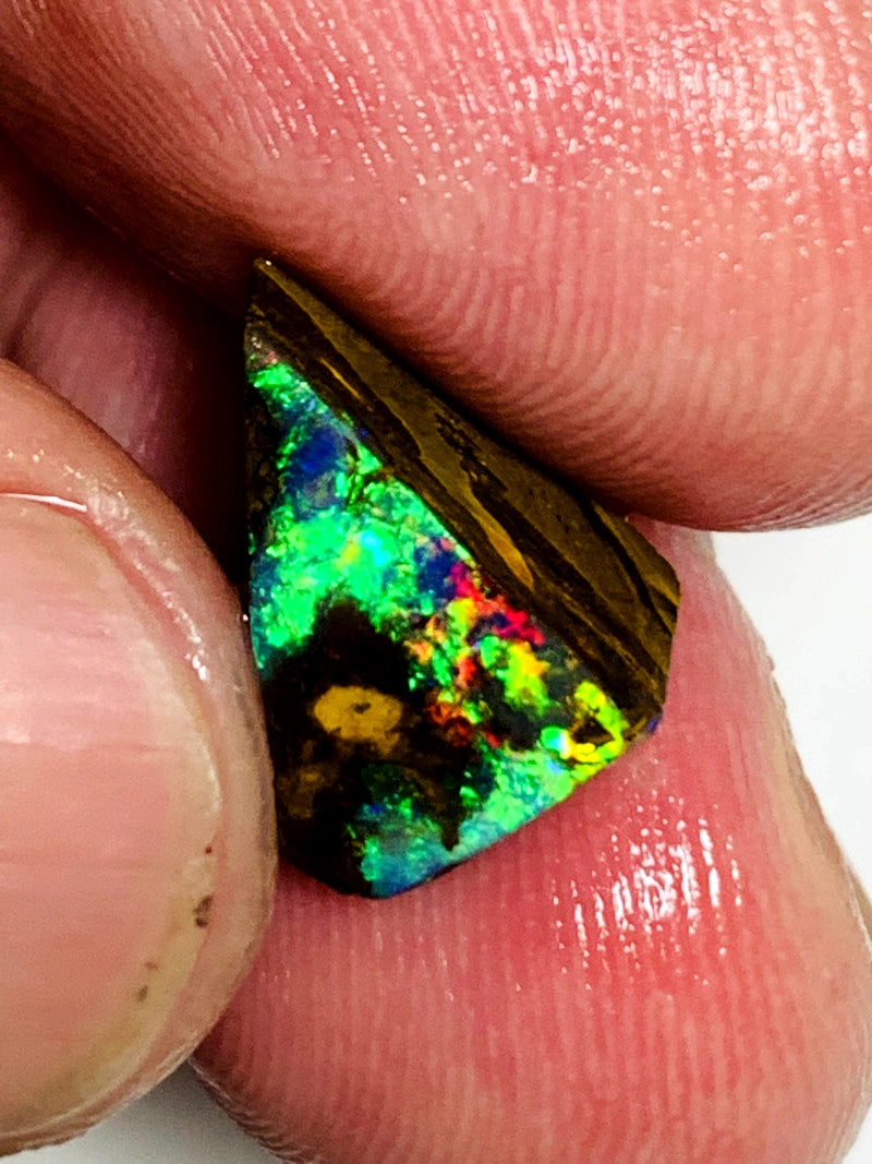 Queensland Boulder opal 5.45cts Winton Gem rub/preform Stunning Multifires on Exposed face 14x9x6mm BFC61