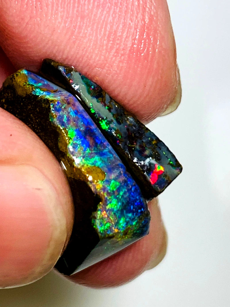 Queensland Boulder opal 21cts Winton Gem rub / rough Stunning Exposed Bright Vibrant Multifires 20x13x7mm & 17x5x4mm BFC56