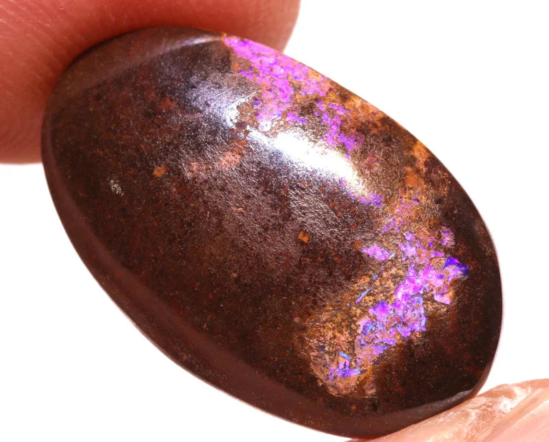 Australian Queensland  Boulder Matrix opal Polished Gemstone 9.25cts From Winton 20x12x4mm BFC33