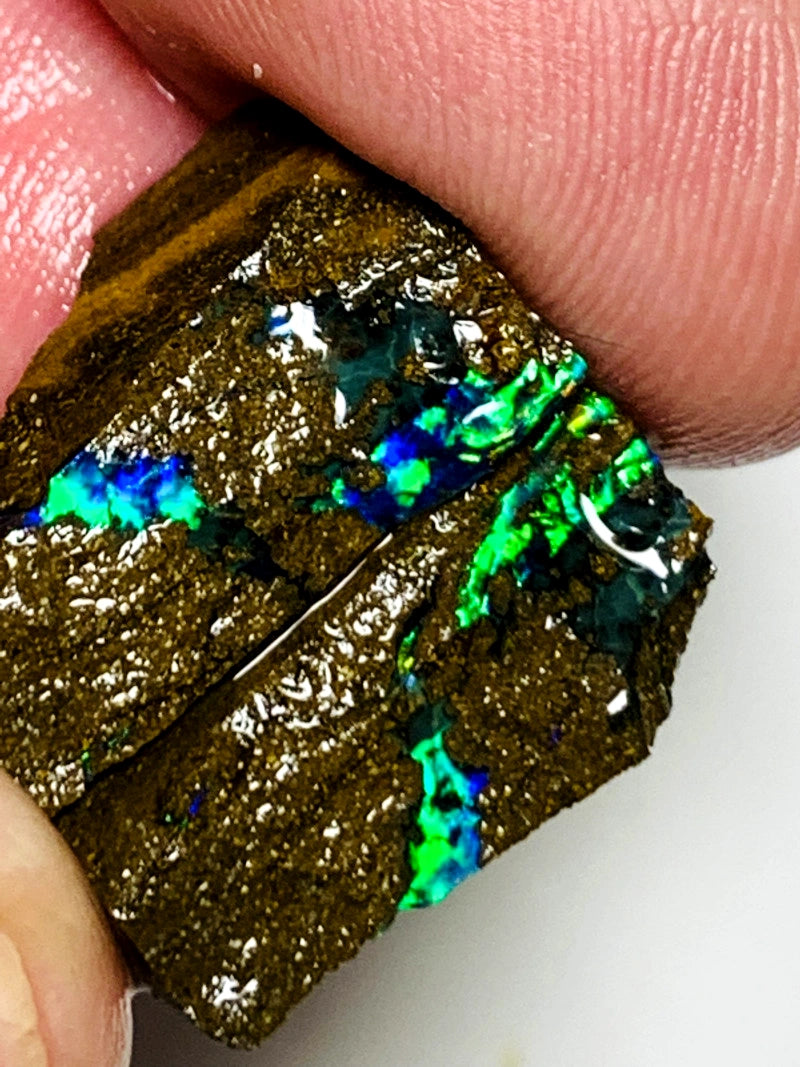 Queensland Boulder opal pair 24cts Winton Bright Vibrant Exotic Multifires showing 19x12x5mm & 18x8x5mm BFC63