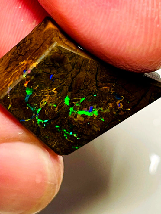 Queensland Boulder opal 30cts Winton rub/rough Vivid Vibrant Multifires on Exposed face 18x15x8mm BFC72