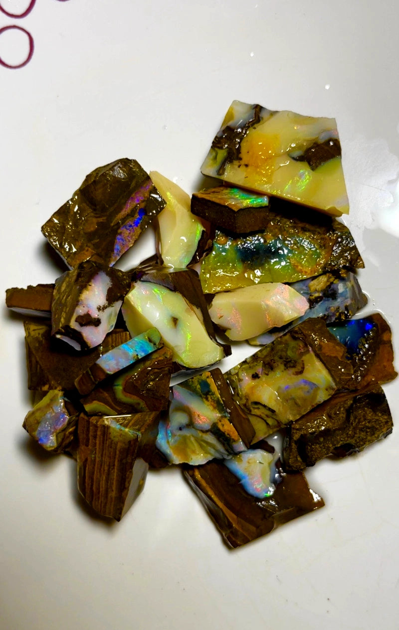 Queensland Boulder opal rough Parcel 490cts Winton Lots fires showing Lots potential 30x20x15mm to 12x10x8mm BFC70