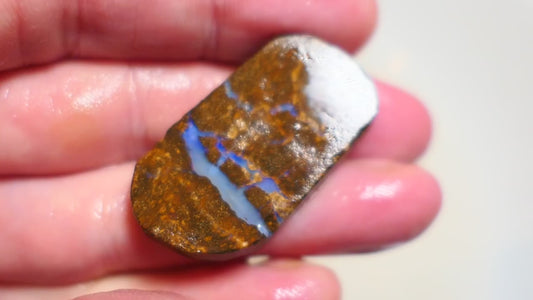 Queensland Boulder Matrix opal 49cts rough / slice Koroit bits fires 40x15x6mm BD#06