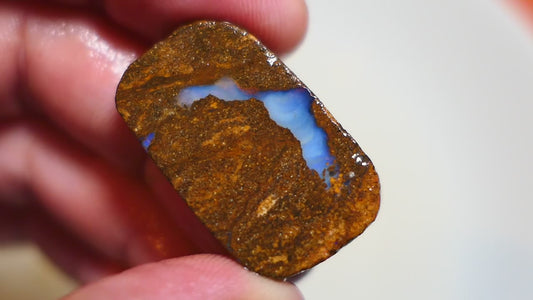 Queensland Boulder Matrix opal 51cts rough / slice Koroit bits fires 30x16x6mm BD#02