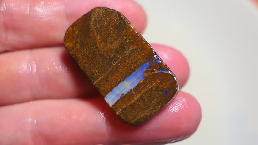 Queensland Boulder Matrix opal 56cts rough / slice Koroit bits fires 30x16x6mm BD#03