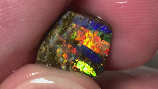 Queensland Boulder opal 5.4cts Winton Gem rub/preform Amazing Vibrant & Bright Reds & Multifires on Exposed face 12x10x5mm BFC38