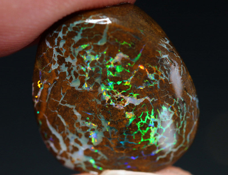 Australian Queensland Boulder Matrix opal 13.50cts Opalton rub/preform Stunning Exposed veins of Bright Vibrant Multifires 17x15x5mm BFA14