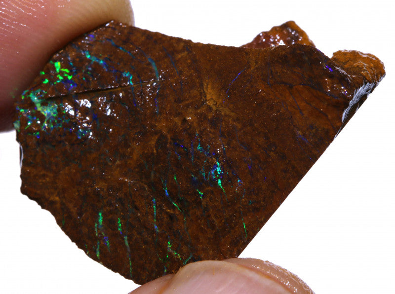 Australian Queensland Boulder Matrix opal 45cts rough Koroit lots veins of Bright blue/green fires 30x27x10mm BFA16