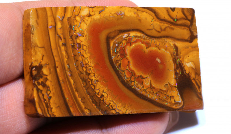 Australian Queensland Boulder Matrix opal 150cts rough / slice Yowah veins of Multifires 62x34x6mm BFA05
