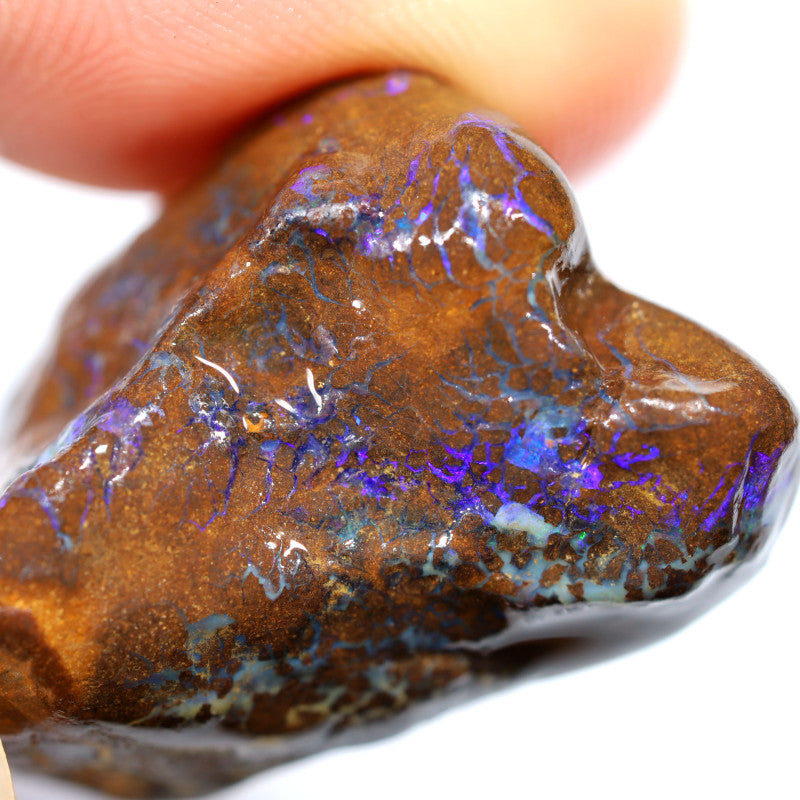 Australian Queensland Boulder Matrix opal single 48cts Tumbled rough Koroit Bright Blue fires & Lots potential 28x17x15mm BFA36