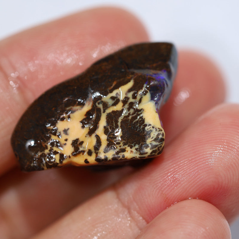 Australian Queensland Boulder Matrix opal single 45cts Tumbled rough Koroit colours & potential 29x18x15mm BFA44