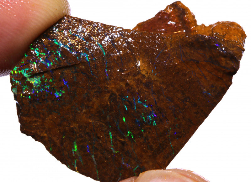 Australian Queensland Boulder Matrix opal 45cts rough Koroit lots veins of Bright blue/green fires 30x27x10mm BFA16