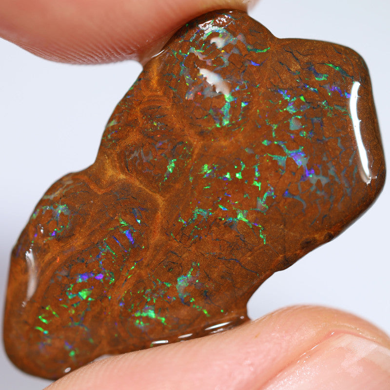 Australian Queensland Boulder Matrix opal single 24cts Tumbled rough Koroit Multifires to veins & Lots potential 30x16x9mm BFA31