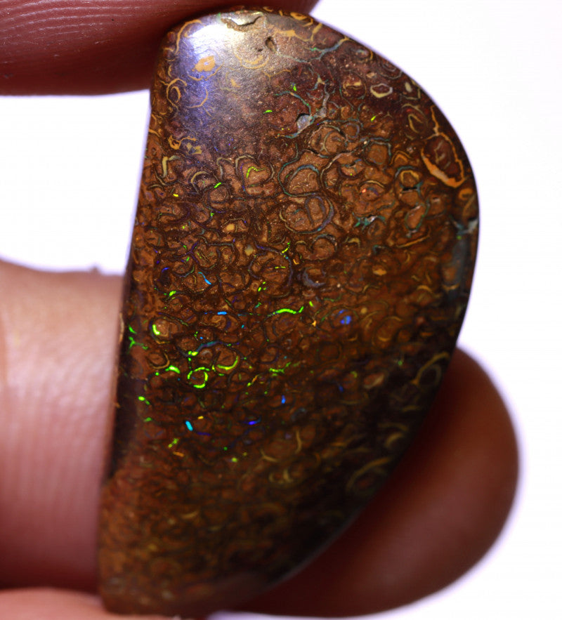 Australian Queensland Boulder Matrix opal Polished Gemstone 21cts From Yowah Veins with Multi colour fires 29x15x6mm BFO1074