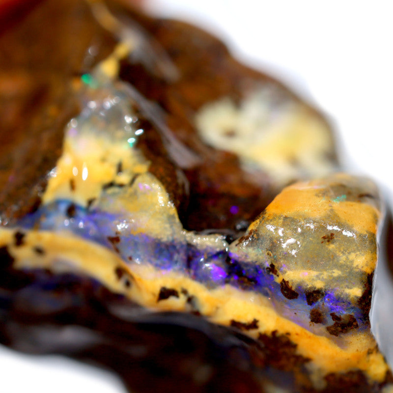 Australian Queensland Boulder Matrix opal single 35cts Tumbled rough Koroit colours & potential 26x18x13mm BFA34
