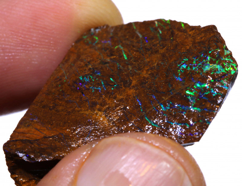 Australian Queensland Boulder Matrix opal 45cts rough Koroit lots veins of Bright blue/green fires 30x27x10mm BFA16