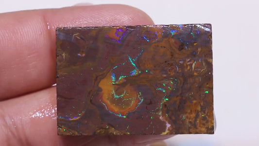 Australian Queensland Boulder Matrix opal 112cts rough / slice Koroit veins of Multifires 37x26x8mm BFA03